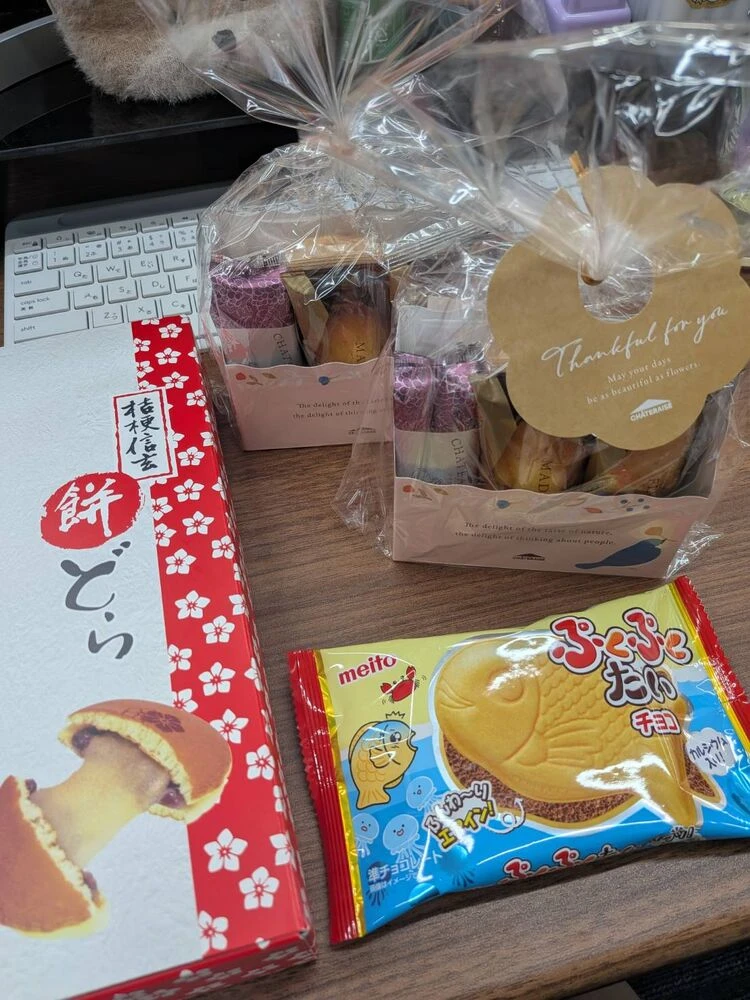 ブログ画像